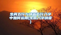 生肖五行与纳音五行八字中如何运用(生辰八字纳音)