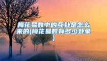 梅花易数中的互卦是怎么来的(梅花易数有多少卦象)