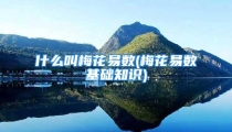 什么叫梅花易数(梅花易数基础知识)