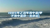 1985年乙丑年海中金(甲子海中金命一生命运)