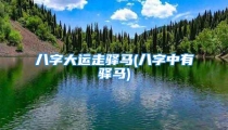 八字大运走驿马(八字中有驿马)