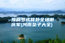 豫剧罗成算卦全场谢庆军(河南坠子大全)