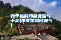 有个性的网名女霸气十足(小女生网名霸气)