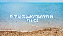 保字辈怎么起名(保在姓氏读什么)