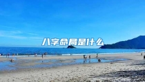 八字命局是什么