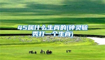 45属什么生肖的(钟灵毓秀打一个生肖)