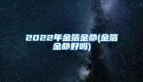 2022年金箔金命(金箔金命好吗)