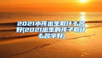 2021小孩出生取什么名好(2021出生的孩子取什么名字好)