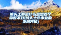 城头土命是什么意思这个命好不好(城头土命事业的发展方位)