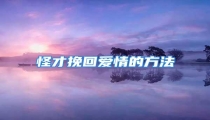 怪才挽回爱情的方法