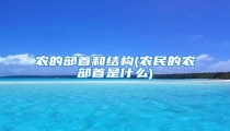 农的部首和结构(农民的农部首是什么)