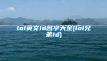 lol英文id名字大全(lol兄弟id)
