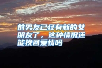 前男友已经有新的女朋友了，这种情况还能挽回爱情吗