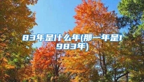 83年是什么年(那一年是1983年)
