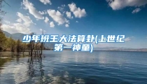 少年班王大法算卦(上世纪第一神童)