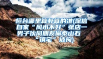 桓台哪里算卦算的准(深信自家“风水不好”张店一男子伙同朋友偷泰山石“镇宅”被拘)