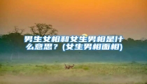 男生女相和女生男相是什么意思?(女生男相面相)