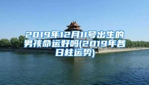 2019年12月11号出生的男孩命运好吗(2019年各日柱运势)