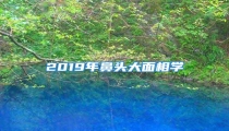 2019年鼻头大面相学