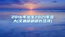 2016年出生2021年多大(交通部副部长汪洋)