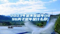 2003年是不是鼠年(1996丙子鼠年是什么命)