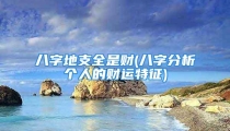 八字地支全是财(八字分析个人的财运特征)