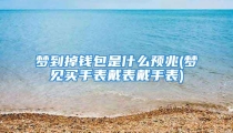 梦到掉钱包是什么预兆(梦见买手表戴表戴手表)