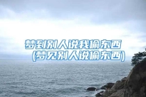 梦到别人说我偷东西 (梦见别人说偷东西)