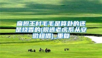 扁担王村毛毛是算卦的还是烧香的(脱逃老虎系从安徽租借)_重复