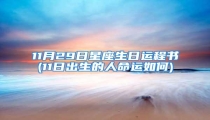 11月29日星座生日运程书(11日出生的人命运如何)