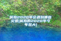 属狗2020年会遇到哪些灾难(属狗的2020年今年多大)