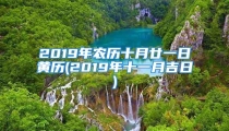 2019年农历十月廿一日黄历(2019年十一月吉日)