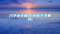八字地支相合(同柱干支相合)