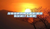 反骨图解的相关解析(脑袋有反骨什么意思)