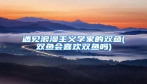 遇见浪漫主义学家的双鱼(双鱼会喜欢双鱼吗)