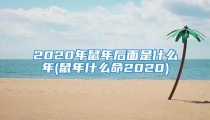 2020年鼠年后面是什么年(鼠年什么命2020)