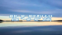 算卦一阴一阳代表什么(什么是“一阴一阳”之道)