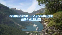 辛卯日是哪一天(辛卯日柱是什么意思)