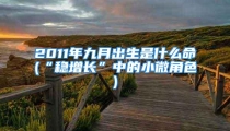 2011年九月出生是什么命(“稳增长”中的小微角色)