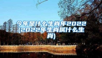 今年是什么生肖年2022(2022年生肖属什么生肖)
