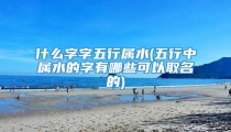 什么字字五行属水(五行中属水的字有哪些可以取名的)