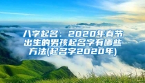 八字起名：2020年春节出生的男孩起名字有哪些方法(起名字2020年)