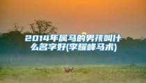 2014年属马的男孩叫什么名字好(李耀峰马术)