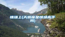 情场上(天蝎座是情场高手吗)