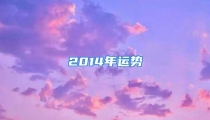 2014年运势