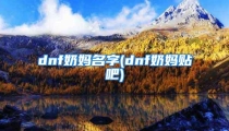 dnf奶妈名字(dnf奶妈贴吧)