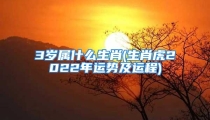 3岁属什么生肖(生肖虎2022年运势及运程)