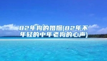 82年狗的婚姻(82年不年轻的中年老狗的心声)