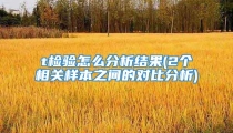 t检验怎么分析结果(2个相关样本之间的对比分析)