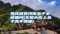罗成算卦河南坠子全部唱词(实拍大街上坠子高手演唱)